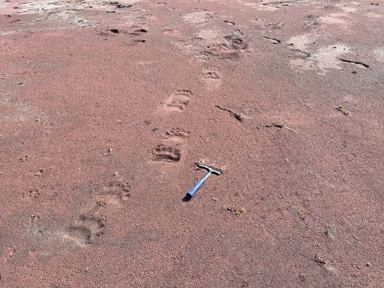 Fig. 4. Iron Beach skąd pobrano piasek plażowy składający się głównie z minerałów ciężkich, w tym granatów (stąd czerwony kolor), monacytów i cyrkonów.
