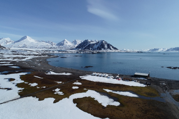 Isbjornhamna, jedna z zatok objętych monitoringiem, ze spokojnymi warunkami falowymi, czerwiec 2023 (fot. Zuzanna Świrad)